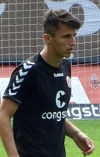 Ante Budimir portrait