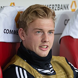 Julian Brandt portrait